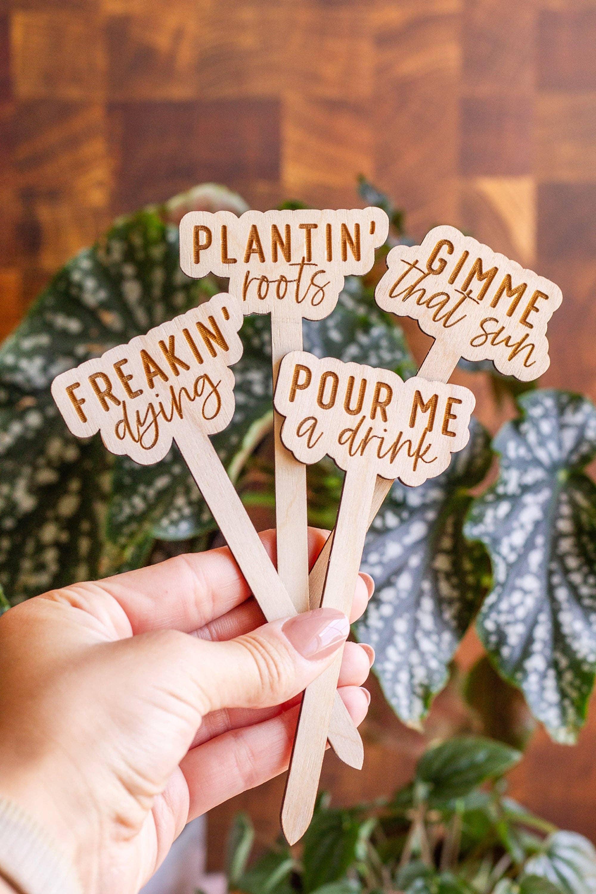 The Print Pantry - Wholesale Garden/Lawn Stake - Funny Script Wooden Plant Markers6