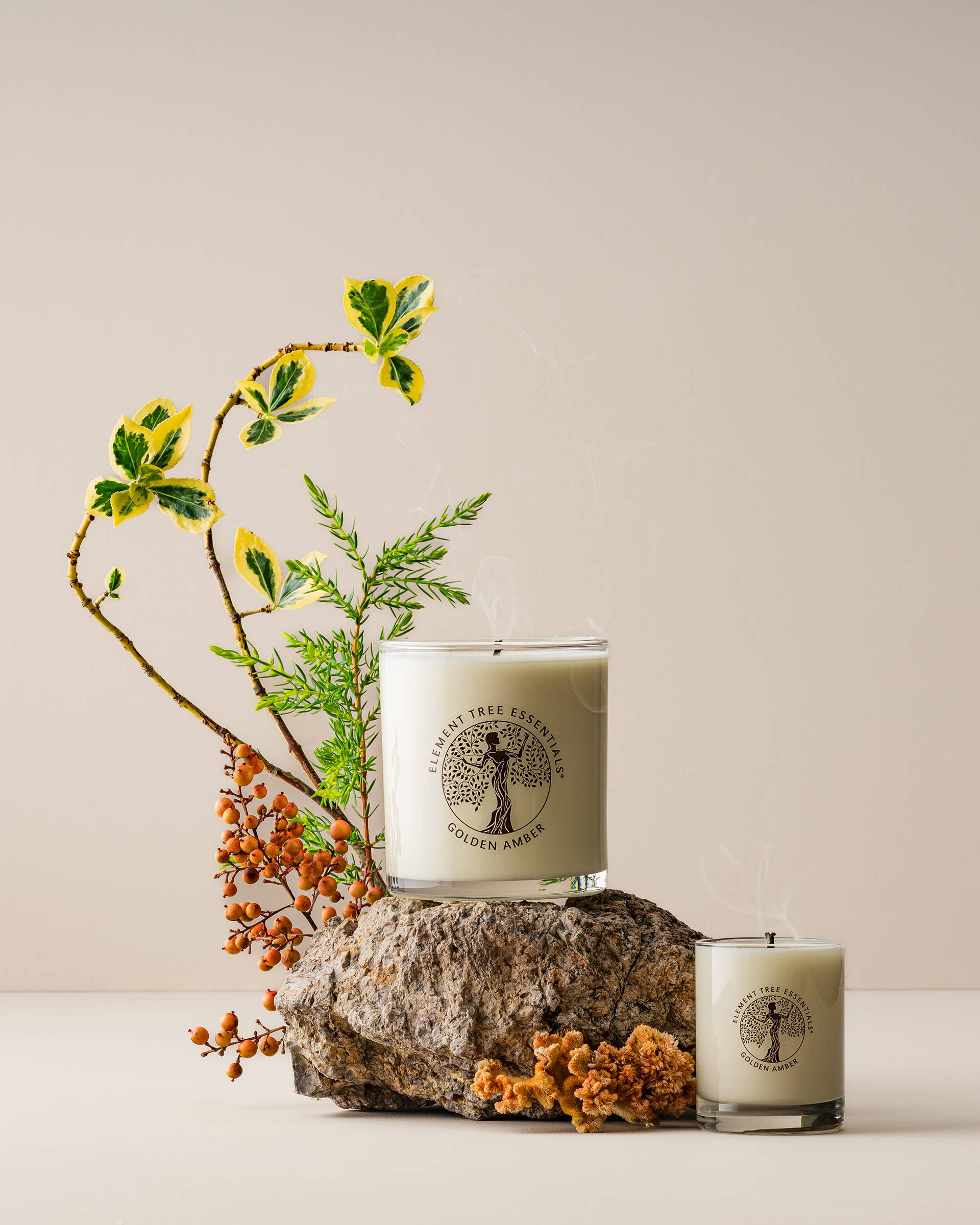 Element Tree Essentials - Wholesale Pot/gevulde kaars - Golden Amber Lotion Kaars