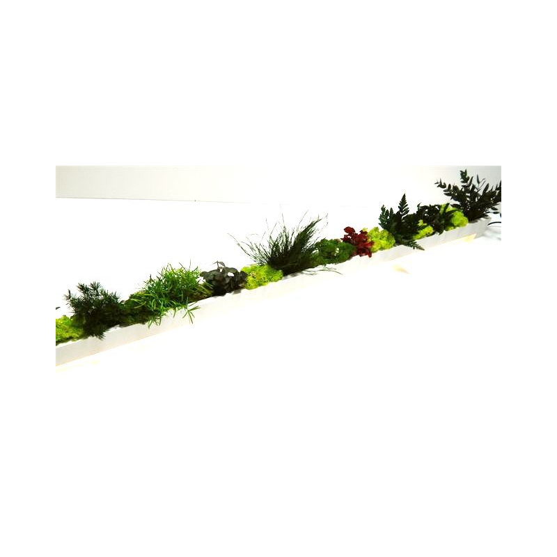 au detour du monde - Wholesale Artificial Plant - Stabilized vegetal bar 100 cm2