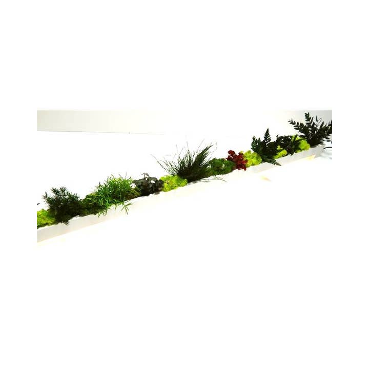 au detour du monde - Wholesale Artificial Plant - Stabilized vegetal bar 100 cm2
