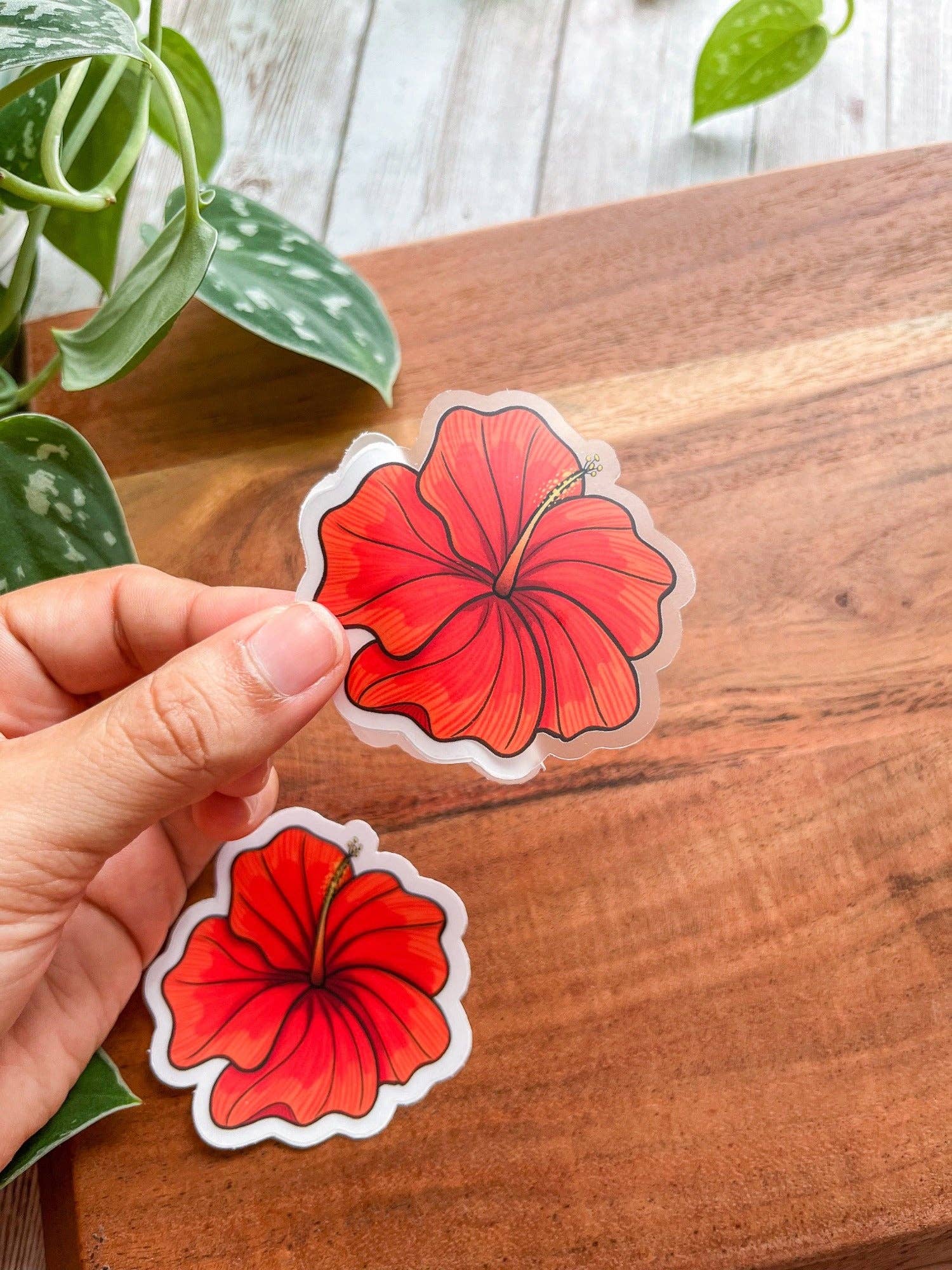 The Nosy Gal - Wholesale Sticker - Flor Cayena Clear Waterproof Sticker1