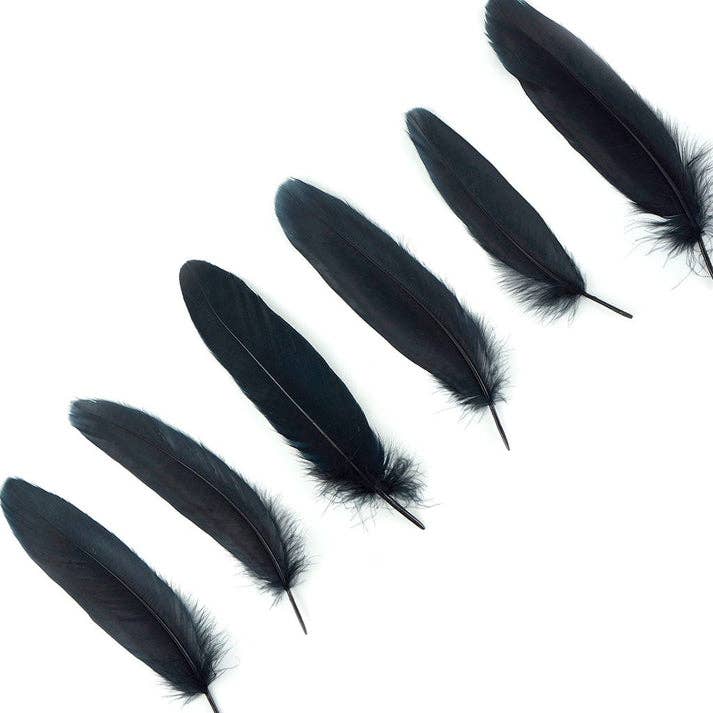 Zucker Feather Products - Wholesale Feathers - Bulk Goose Pallet Feathers 6-8 nch - 1/4 LB - Black2