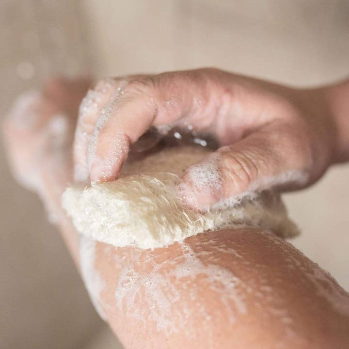 Suds & Eco - Wholesale Loofah - Loofah Scrubber Pack