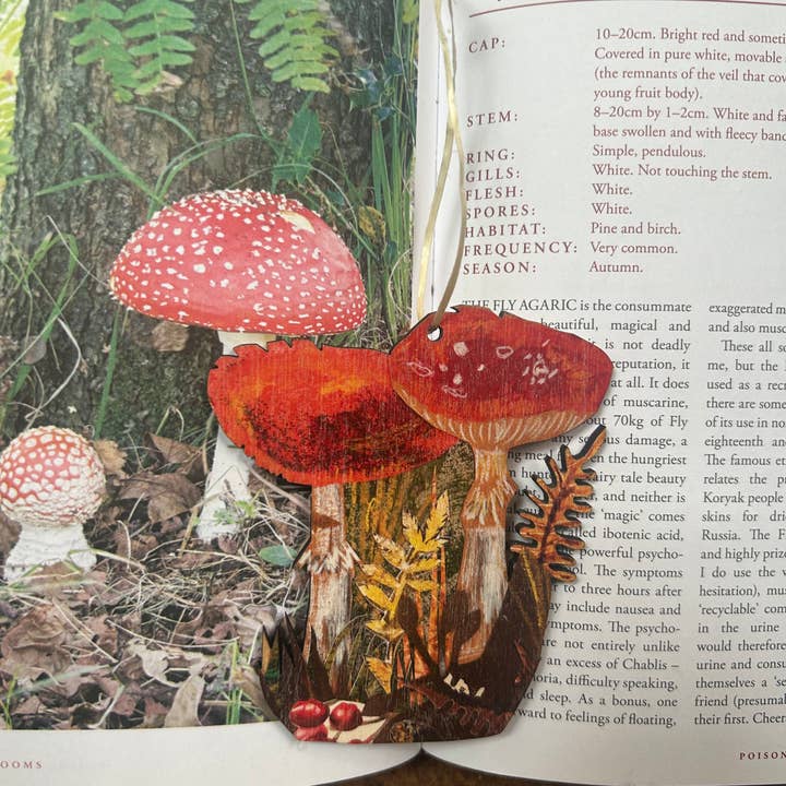 Clare O’Neill Artworks – wholesale Ornament – Toadstools birch plywood decoration 3