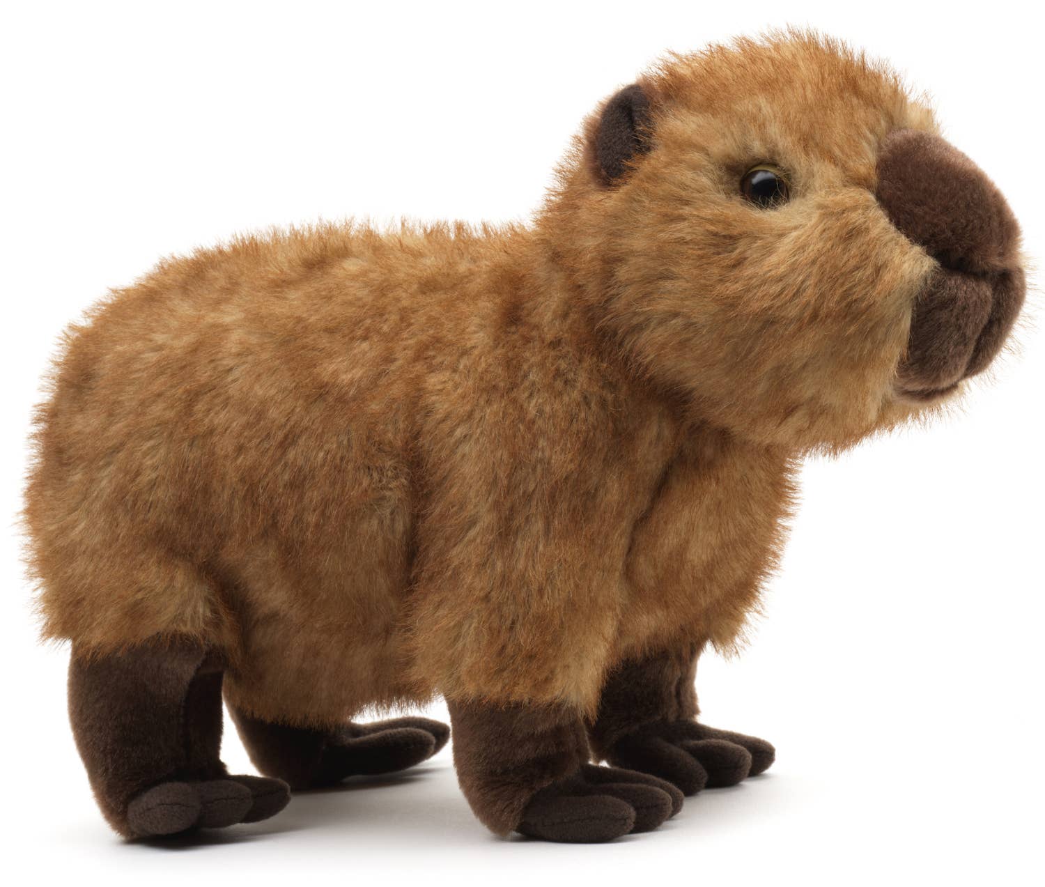 Uni Toys - Wholesale Stuffed/Plush Toy - Kids & Baby - Capybara, standing - 27 cm (length) - Cuddle/Plush toy1