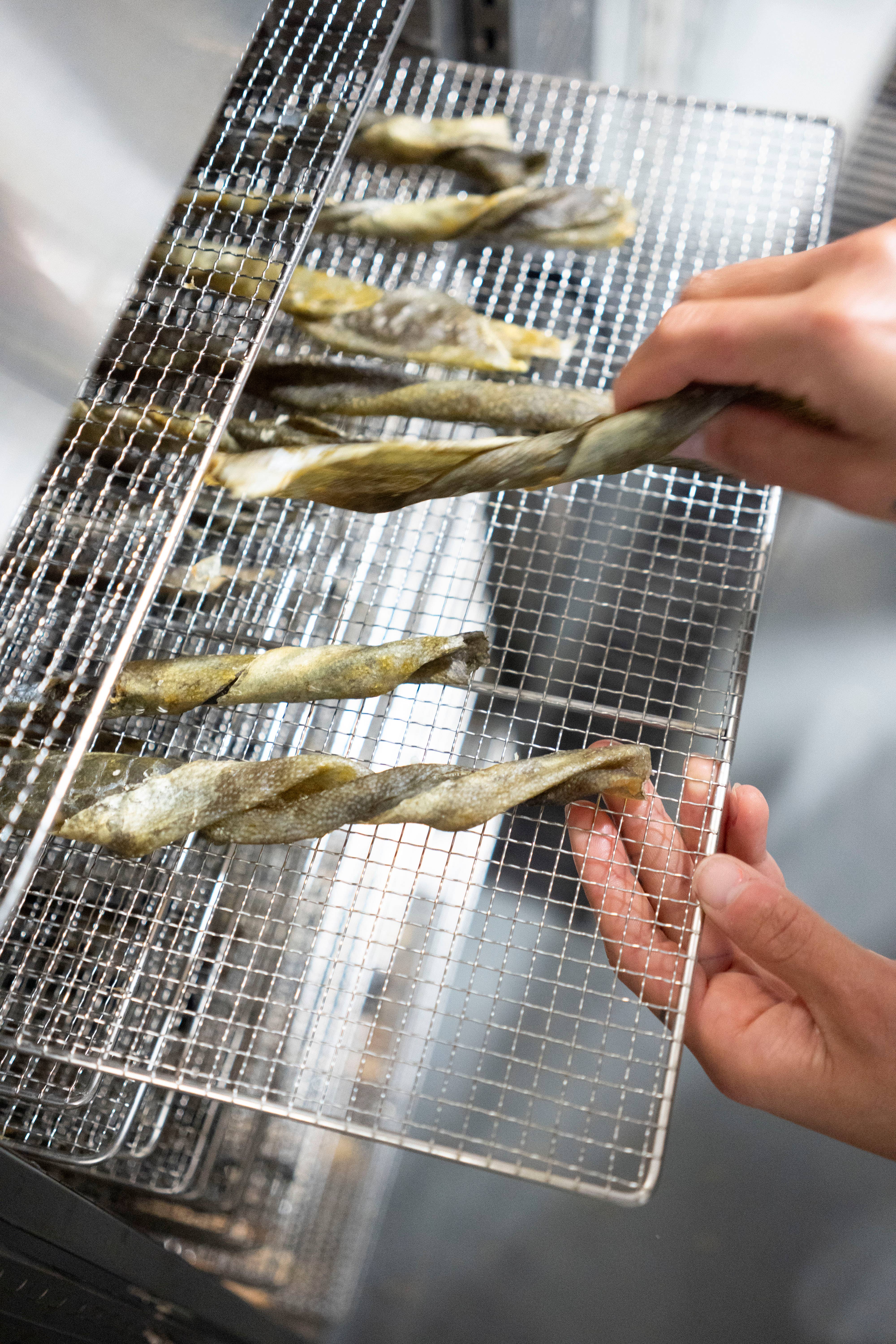 Local Ocean Seafoods - Wholesale Pet Treats - Dog - Dog Treats: "Catch of the Day" Oregon Coast Wild Fish3