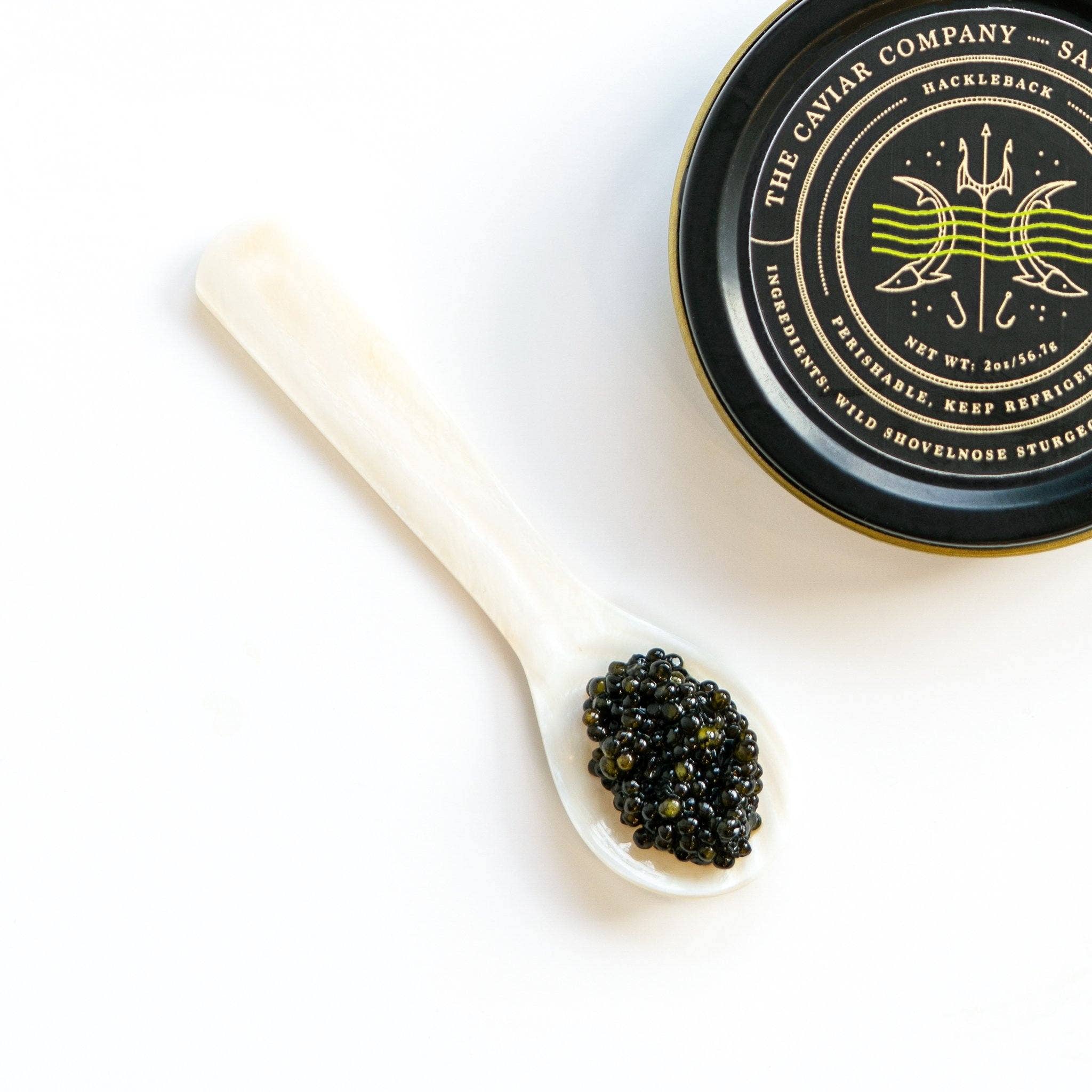 The Caviar Co. - Wholesale Fish/Seafood - Hackleback Caviar3