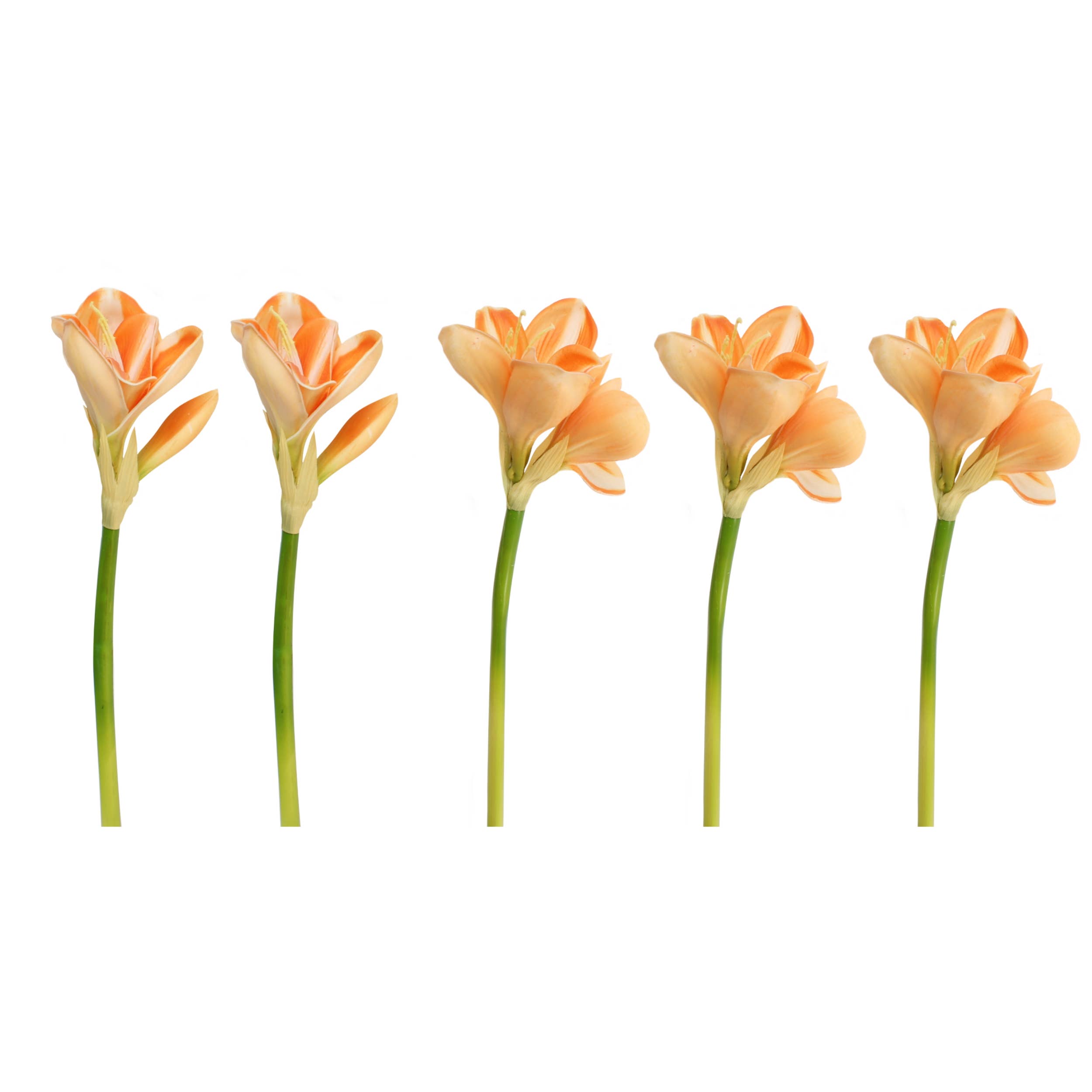 Angel Isabella – Großhandel Künstliche Blumen – 30 cm Real Touch künstliche Amaryllis – 8 Blüten, 2 Knospen7