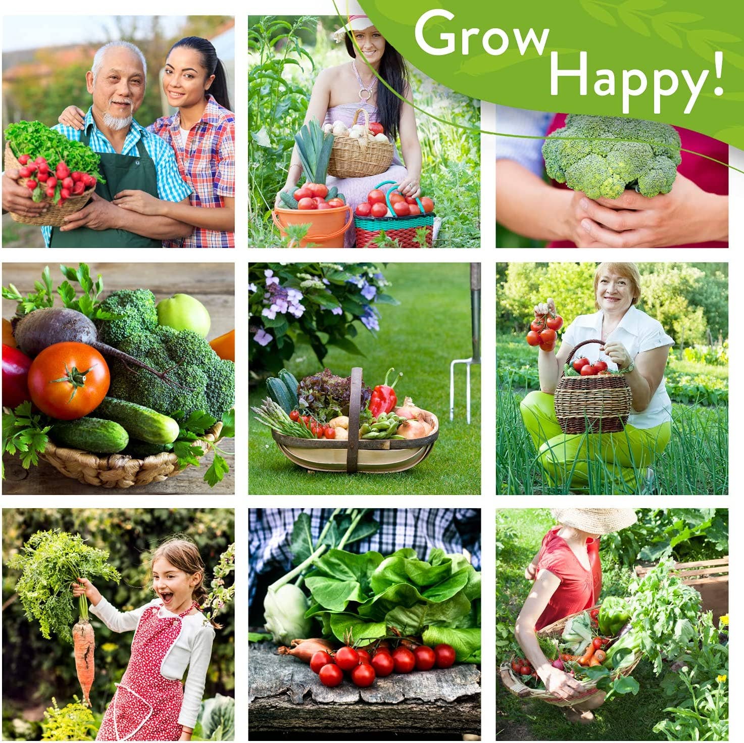 Homegrown Garden - Wholesale Plant Seeds - 55 Heirloom Vegetable Seeds - 27,500+ Non GMO Seeds8