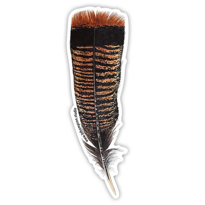 Broad Bloom – wholesale Sticker – Turkey Feather Sticker0