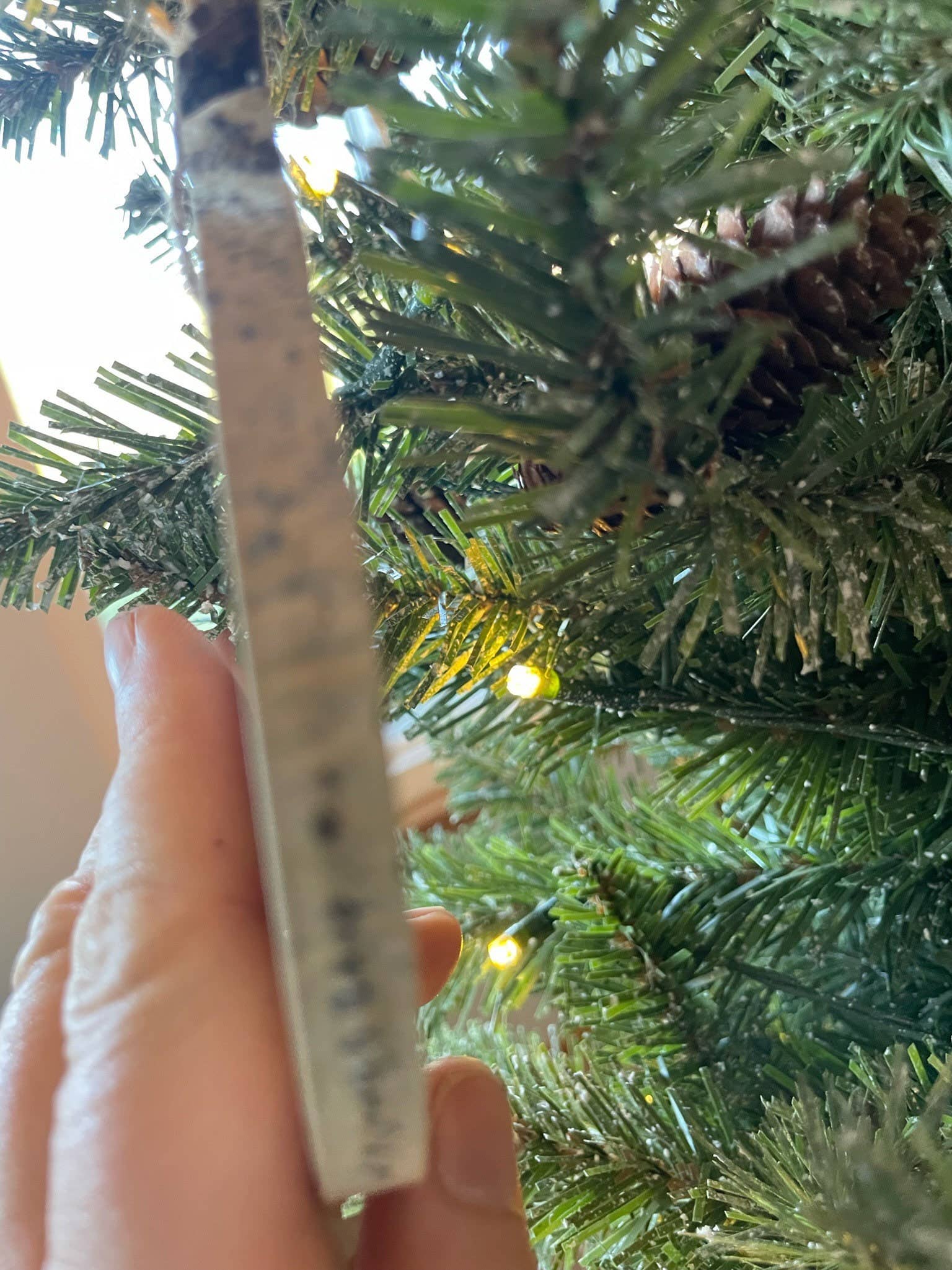 Parks Art Collection - Wholesale Ornament - Time Outside Makes Me Less Murdery Ornament, Funny Gift5