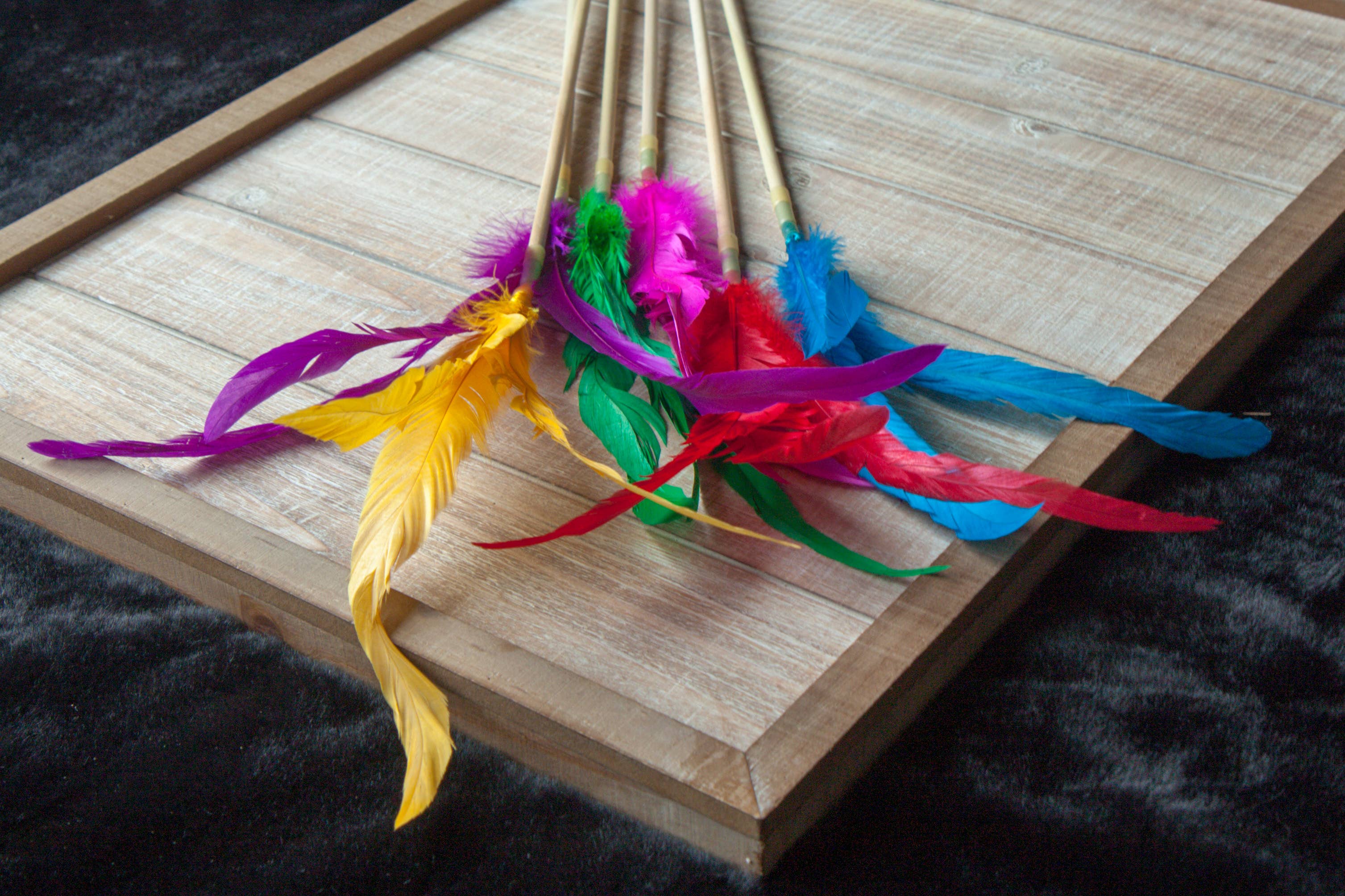 Dr. Pussums Catnip - Wholesale Pet Toy - Cat - Cat Teasers Cat Toys2