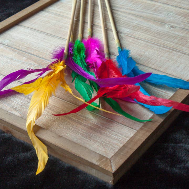 Dr. Pussums Catnip - Wholesale Pet Toy - Cat - Cat Teasers Cat Toys2