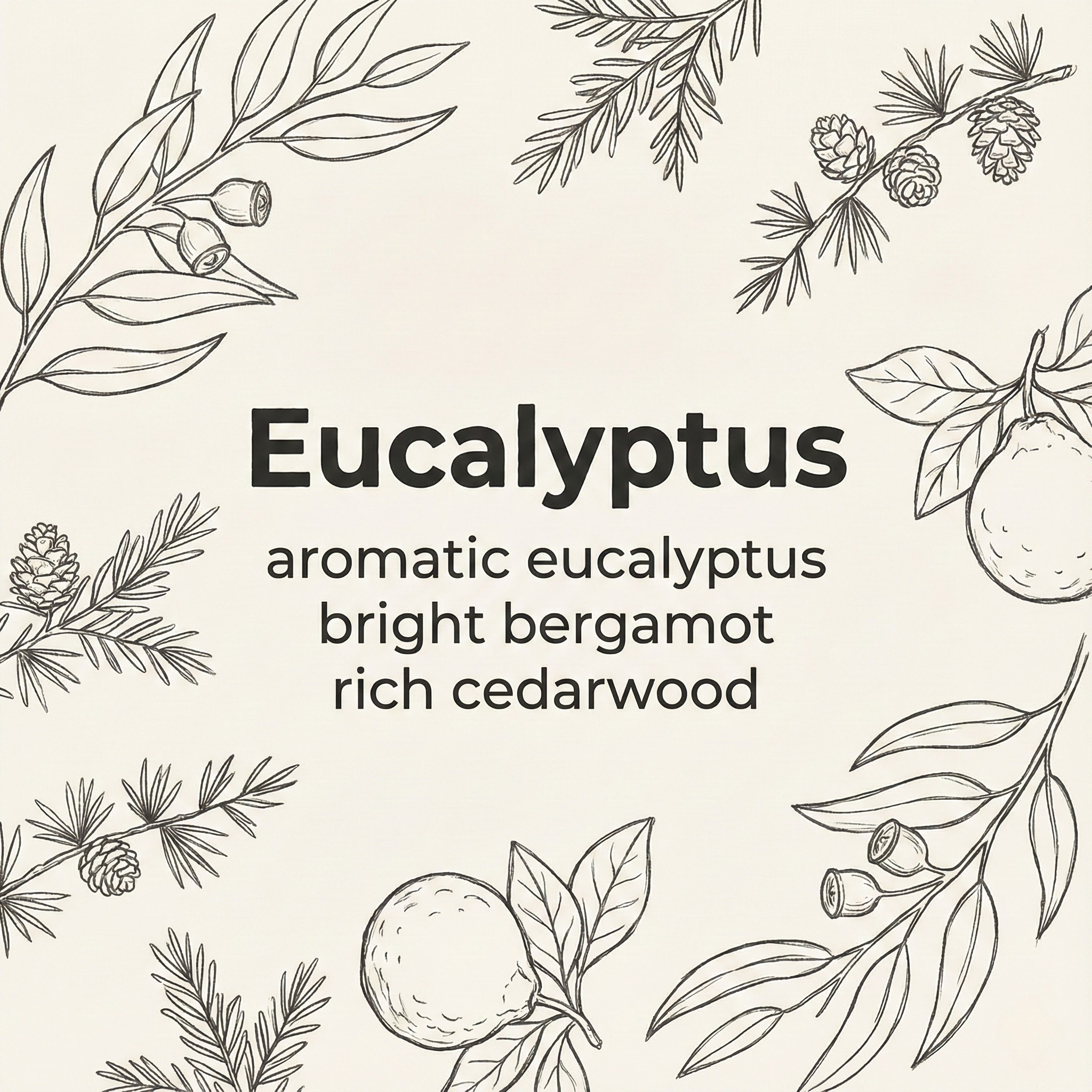 Kalamazoo Candle Company - Vente Bougie en bocal - Bougie en soja à l'eucalyptus 10oz - Coulée à la main au Michigan1