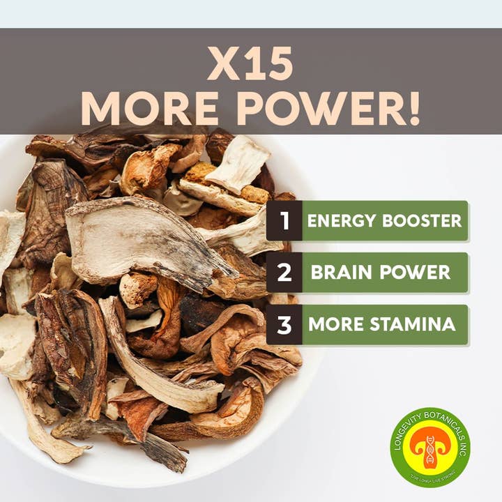 Longevity Botanicals - Wholesale Protein/Superfood Powder - 15 Mushroom Blend Powder 100g: Immune & Vitality Supplement3