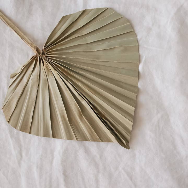 Plantita & Co. – wholesale Dried/pressed flowers – Natural Spear Palms Dried/Pressed Flowers