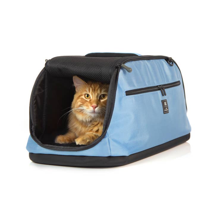 Airplane Air Canada Pet Policy Cabin Air Canada Dog In Cabin