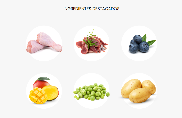 DIBAQ - Wholesale Pet Food - Cat - Sense Gf Cat Sterilized 6 Kg1