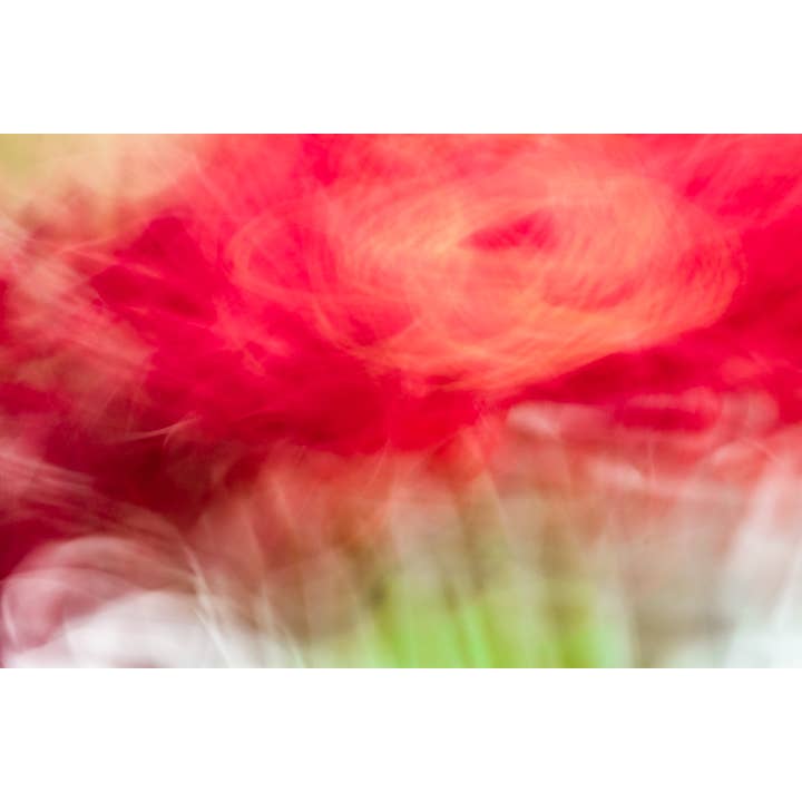 Julefarver Aswirl Kunsttryk for engroshandel hos Christi Kraft Photography