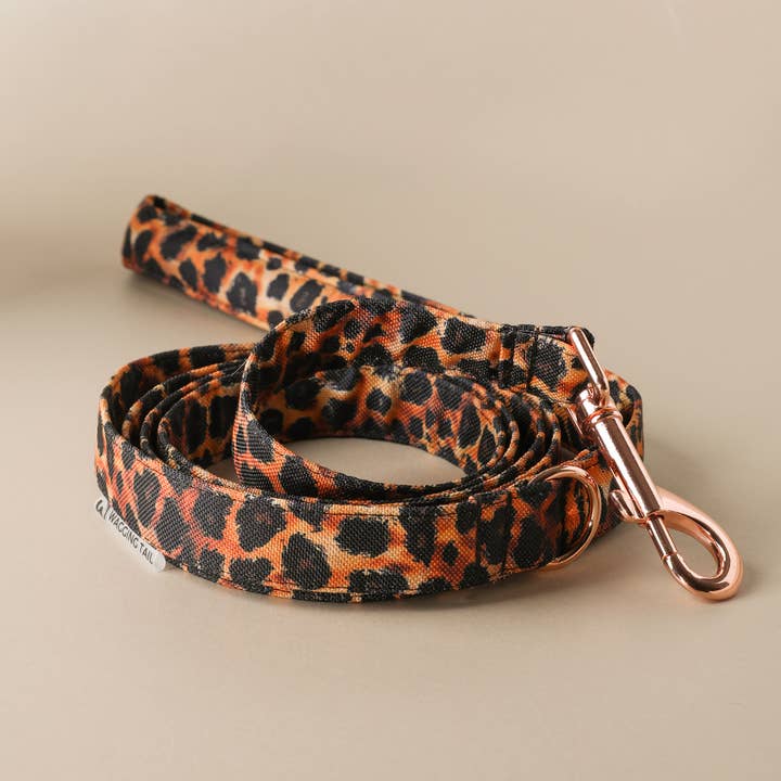 Leash LUSAKA for wholesale by Wagging Tail