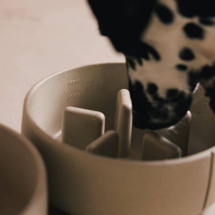 PINO - Wholesale Pet Bowl - Dog - Slow Feeder Bowl9