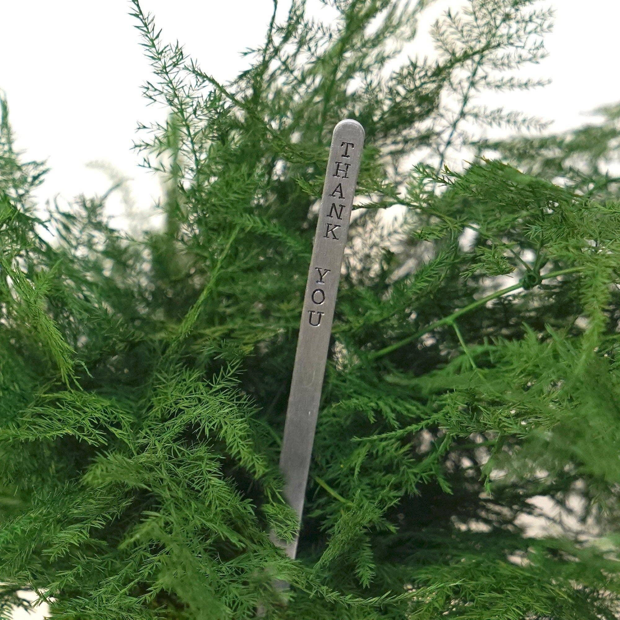 Artisan Moss - Wholesale Live Plant - Featherleaf Fern Kokedama - Sitting or Hanging - Preserved Moss and Fern Plant7