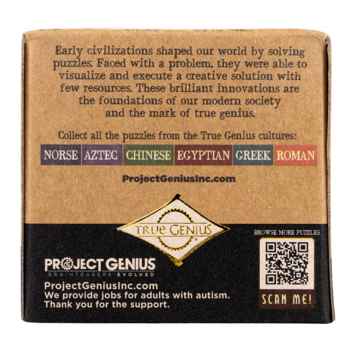Project Genius - Wholesale Puzzle - Adult - True Genius Roman Arches Puzzle