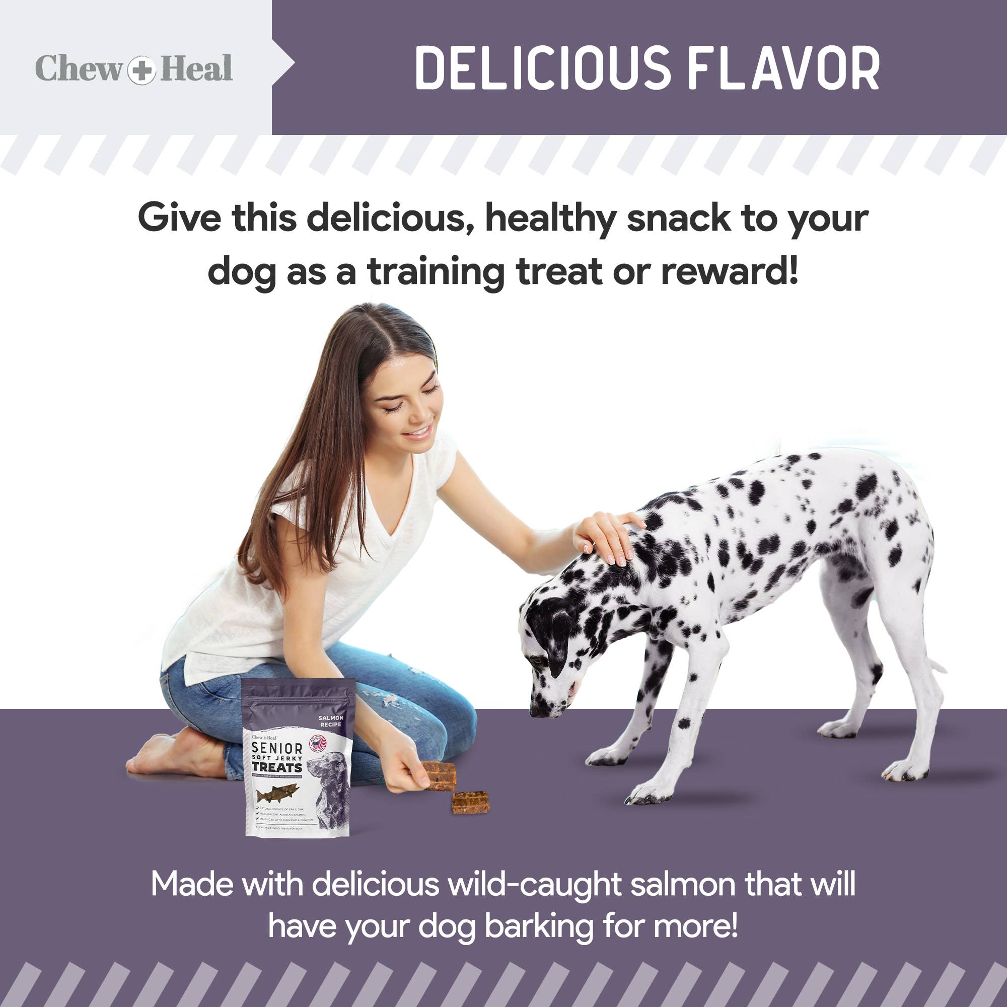 Chew + Heal - Wholesale Pet Treats - Dog - Senior Wild Alaskan Salmon Limited Ingredient Dog Treats9