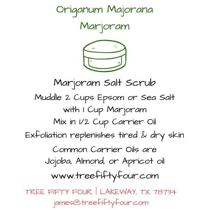 Tree Fifty Four – wholesale Herbs – Marjoram | 2oz - 1 KG | Bulk Herbs2