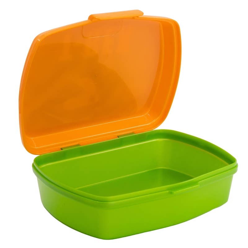 Stor – wholesale Lunchlåda - Barn – Rektangulär Dinosaurie Smörgåslåda2