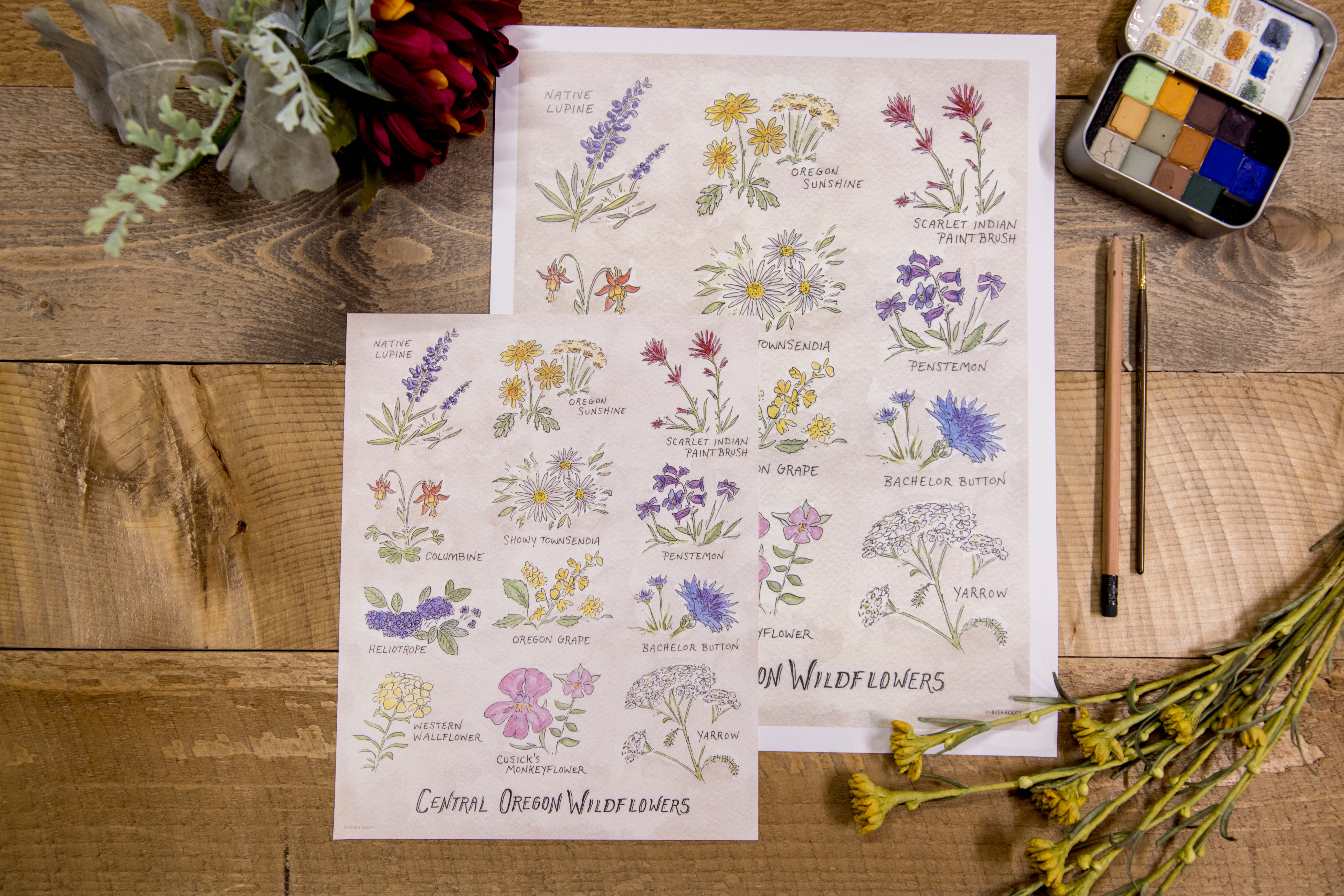 Hiker Booty – wholesale Art print – Central Oregon Wildflowers 8"x10" Art Print0