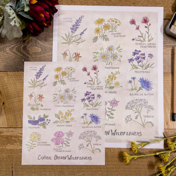 Hiker Booty – wholesale Art print – Central Oregon Wildflowers 8"x10" Art Print