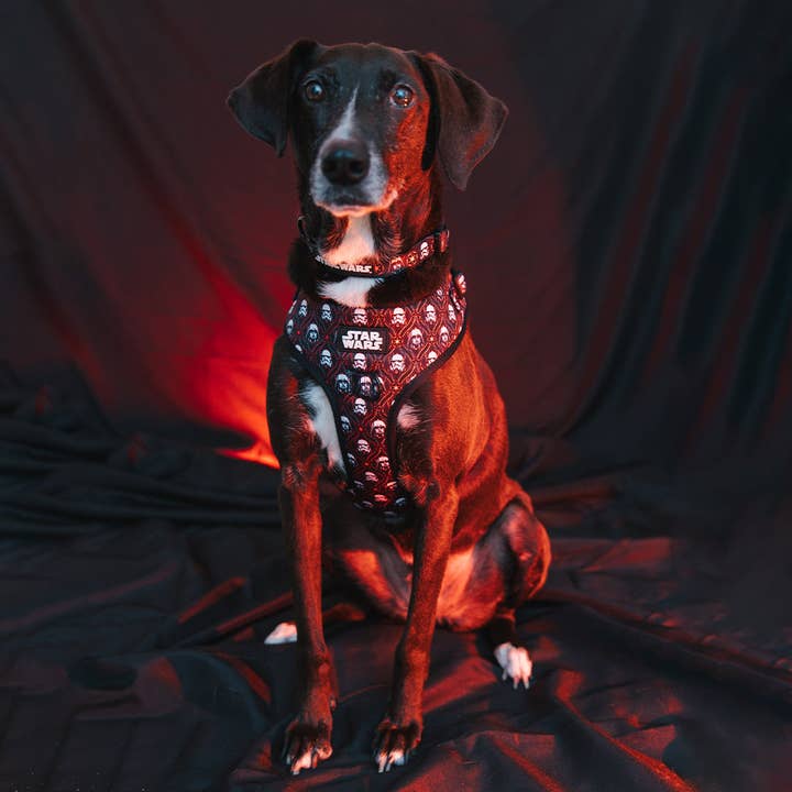 SASSY WOOF - Wholesale Pet Harness - Dog - Dog Adjustable Harness - STAR WARSâ„¢ The Dark Side
