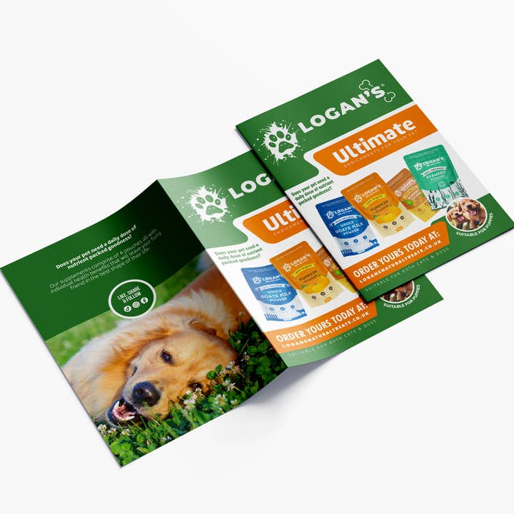 POS Leaflet - A6 Bifold for wholesale by Logan’s