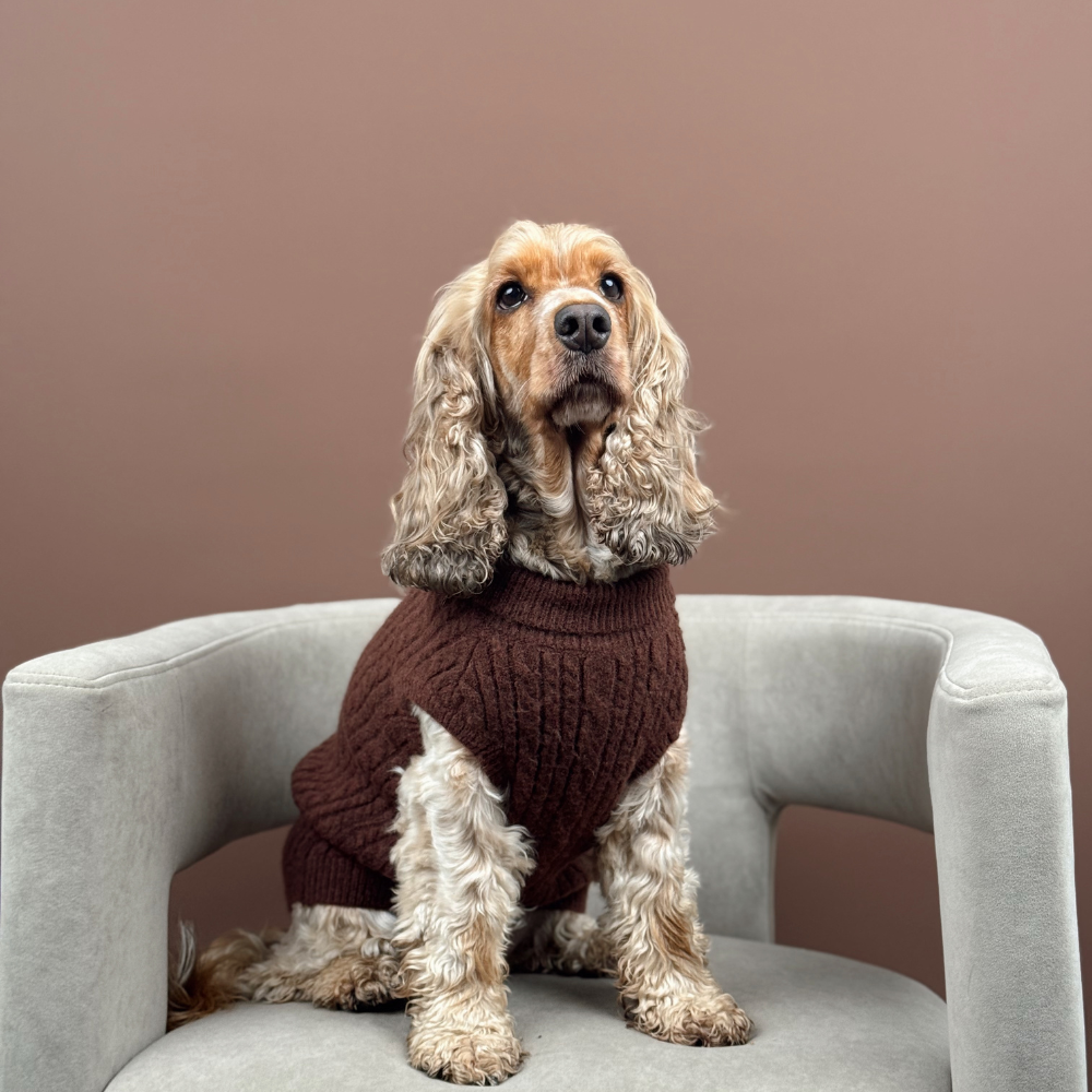 Cocopup London – wholesale Pet jumper – Dog – Cable Knit Jumper - Hot Coco7