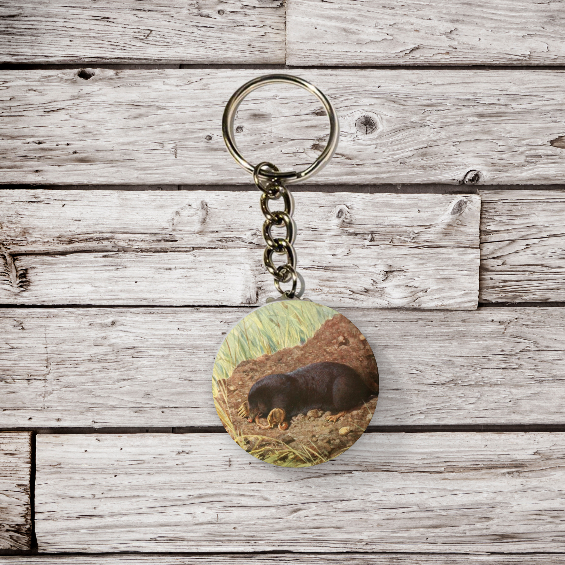 NatureCuts – Engroshandel Reversnål/knap – Mole Pin-knap, Dyrestift, Mole nøglering, Muldvarpmagnet2