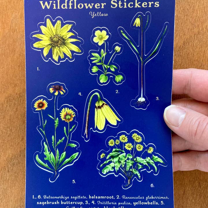Wildflower Sticker Sheet - Yellow for wholesale by Madrona Press