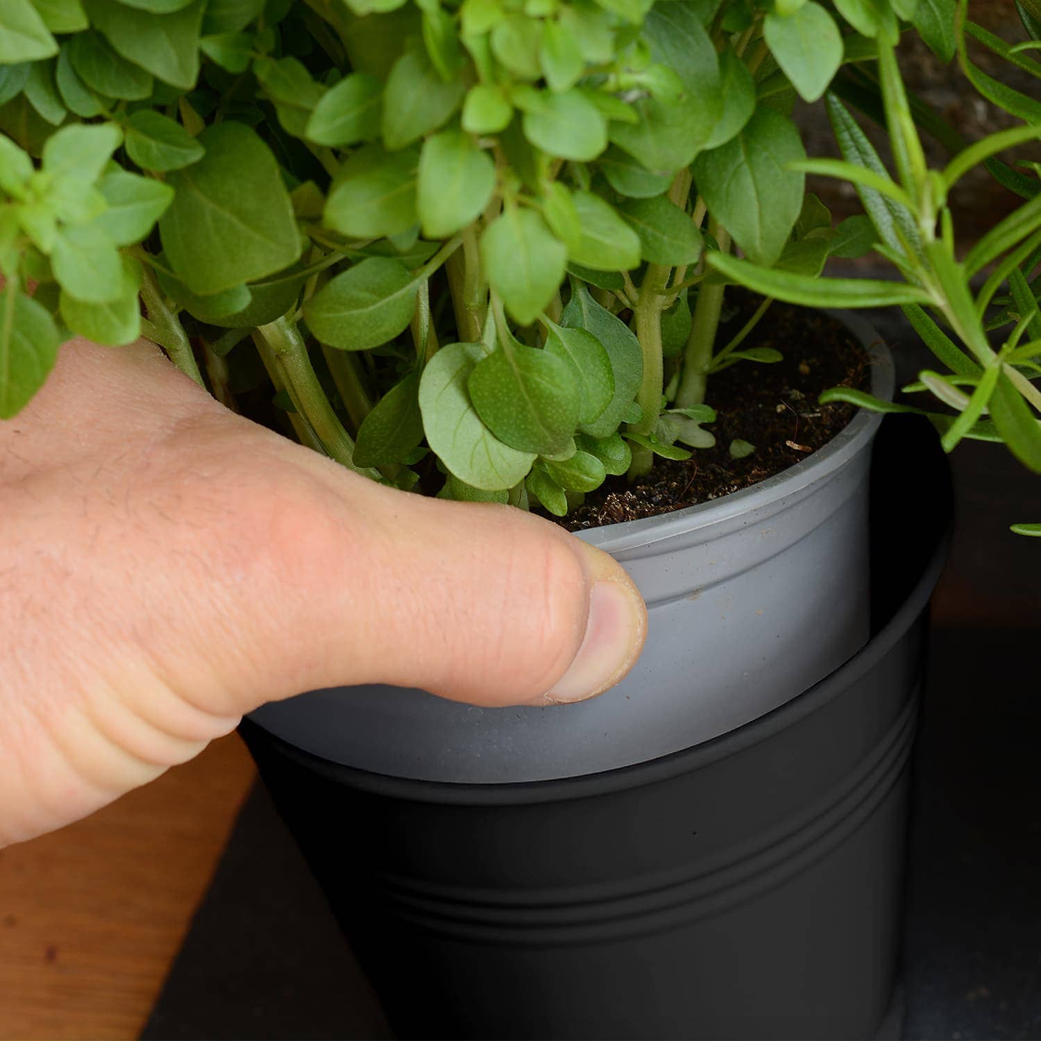 Wholesale Gifts Tomorrow – Engroshandel Plantekrukke – Sæt med 3 metal urte-/plantepotter med drypbakke (mat sort)6