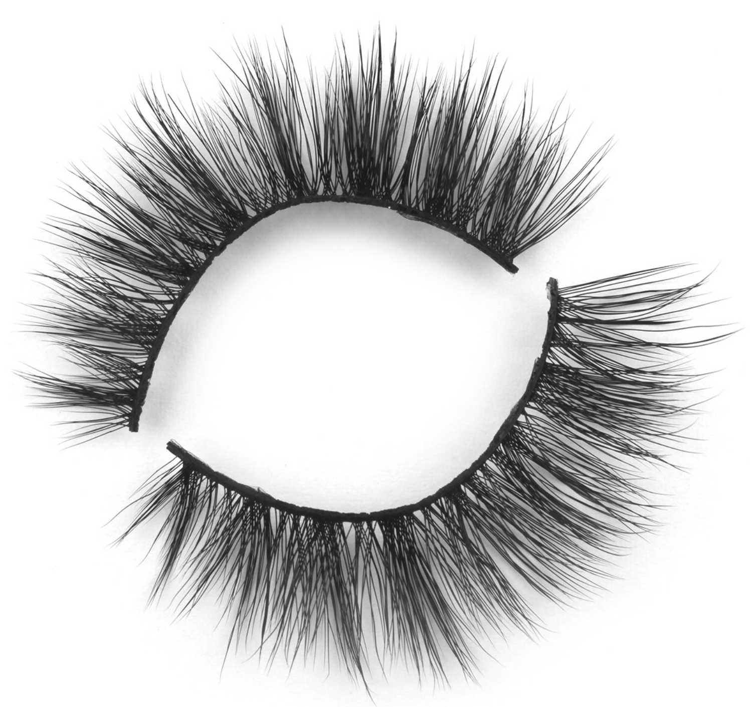 Ashley Kennedy - Wholesale False/Fake Eyelashes - The Everyday Lash Set5