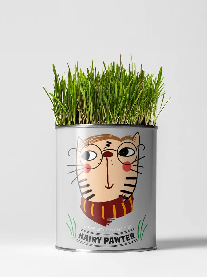 Hairy Pawter. Eco Grow Your Own Cat-Friendly Grow Kit, Gift. for wholesale by The Plant Gift Co.
