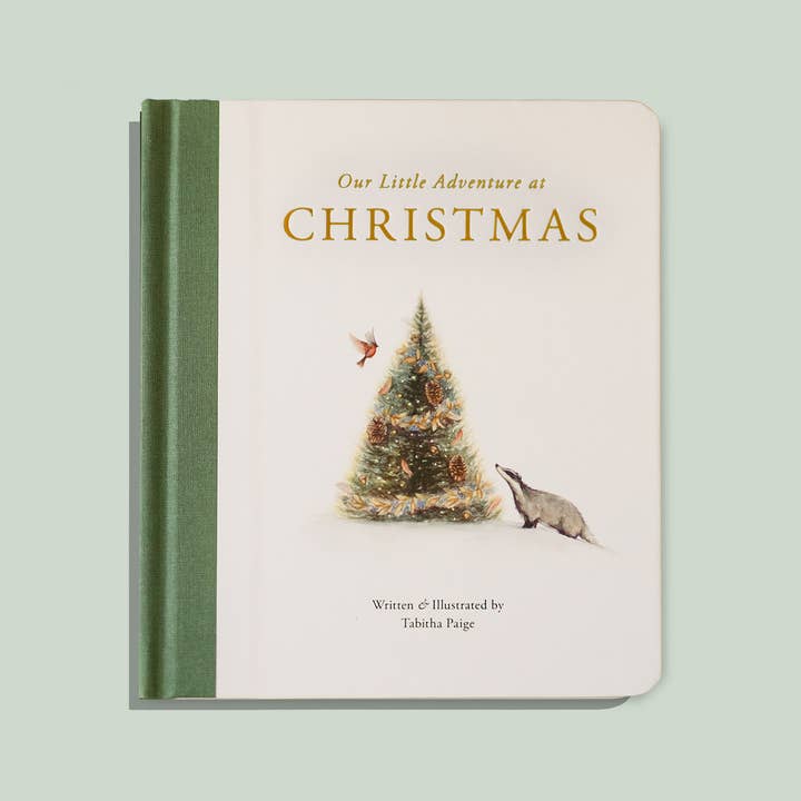 Paige Tate & Co. - Wholesale Baby & Toddler Book (0-2) - Our Little Adventure at Christmas (Baby's first Christmas)0