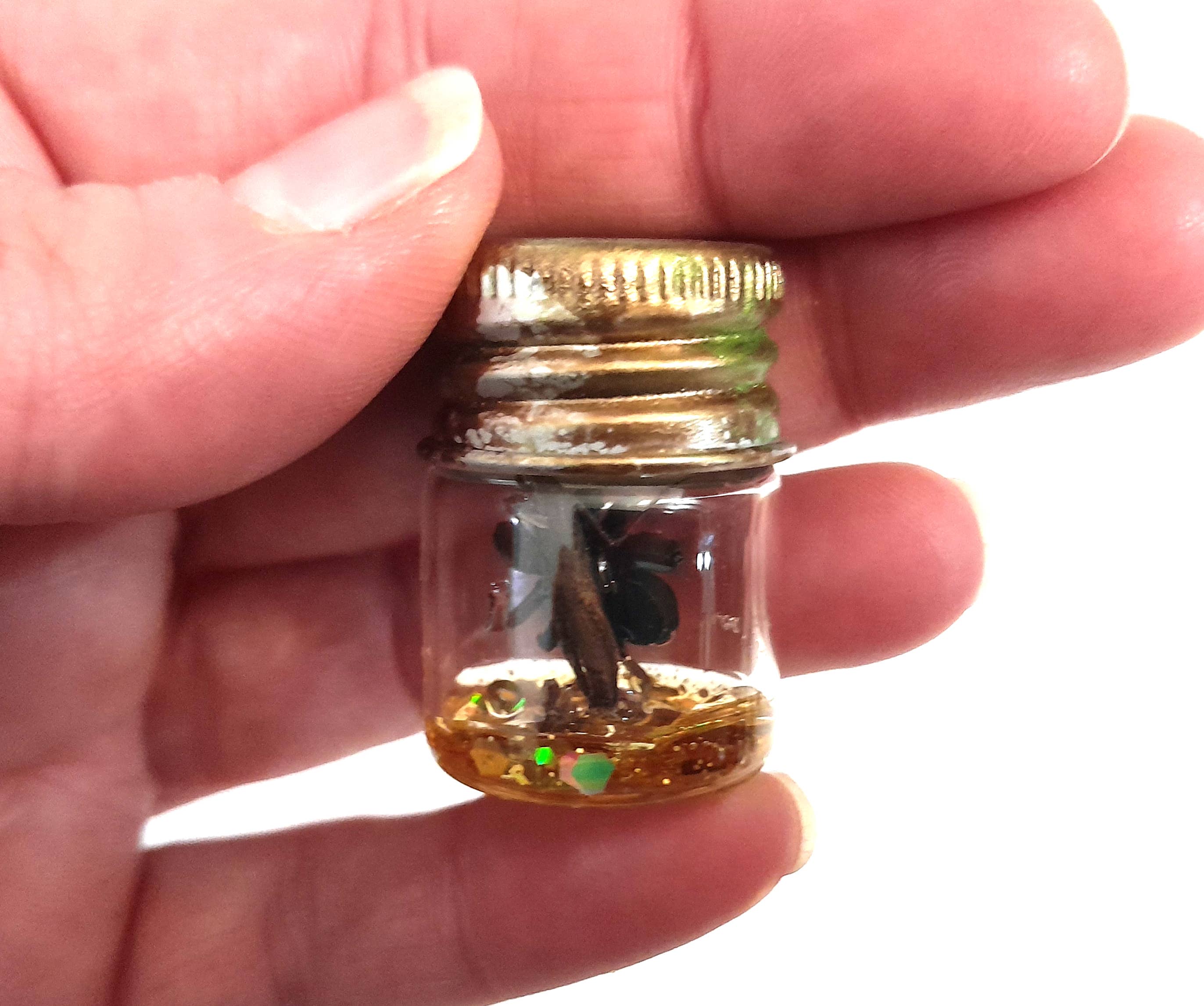 SUPERAWWWSOME - Wholesale Decorative Jar - Spider Specimen Bottle Black Widow Dollhouse Mini Halloween3