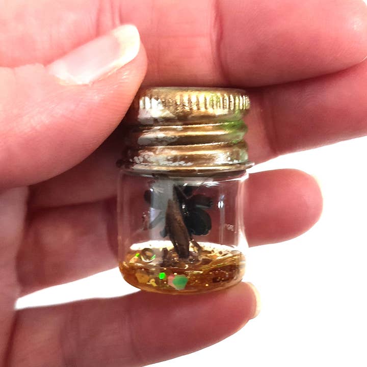 SUPERAWWWSOME - Wholesale Decorative Jar - Spider Specimen Bottle Black Widow Dollhouse Mini Halloween3