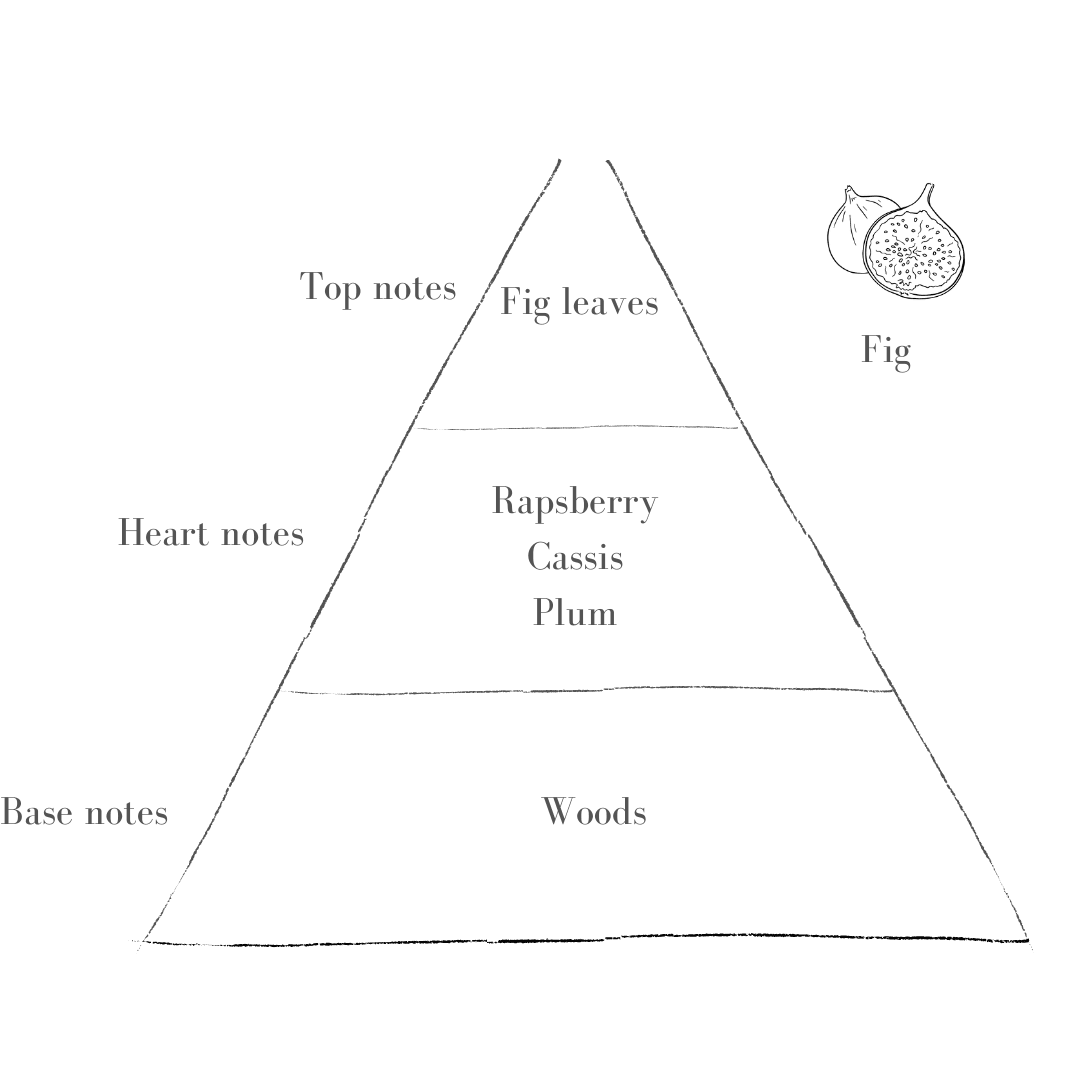 Pott – wholesale Pillar candle – Fig Refill1