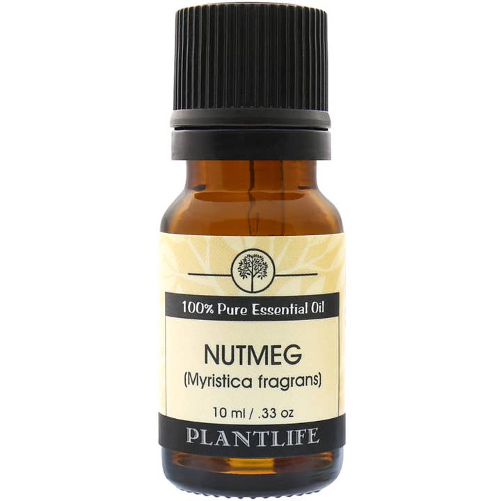 Nutmeg Essential Oil for wholesale by Plantlife