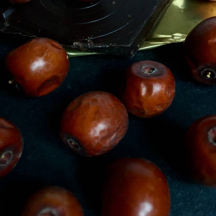 L' Arbre Persan - Wholesale Dried/Dehydrated Fruit - Anab or Jujube from Tajikistan
