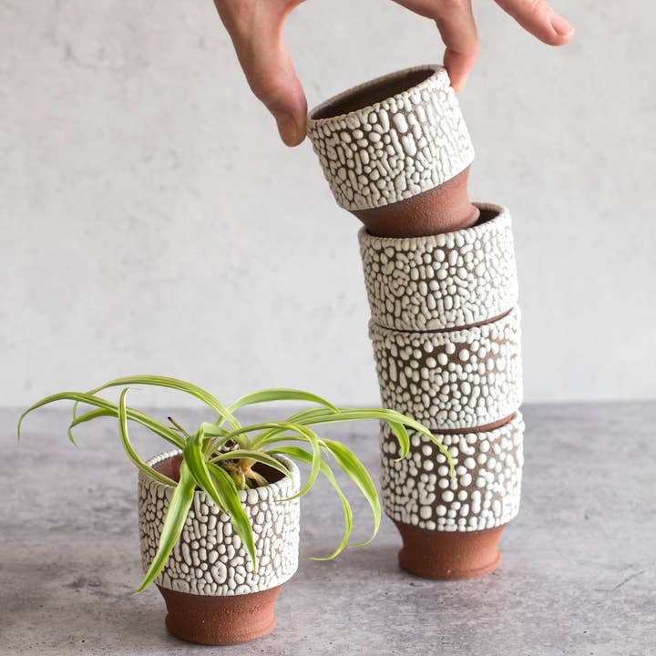 ZZIEE Ceramics - Wholesale Plant Pot - Handmade Ceramic Mini Planter3