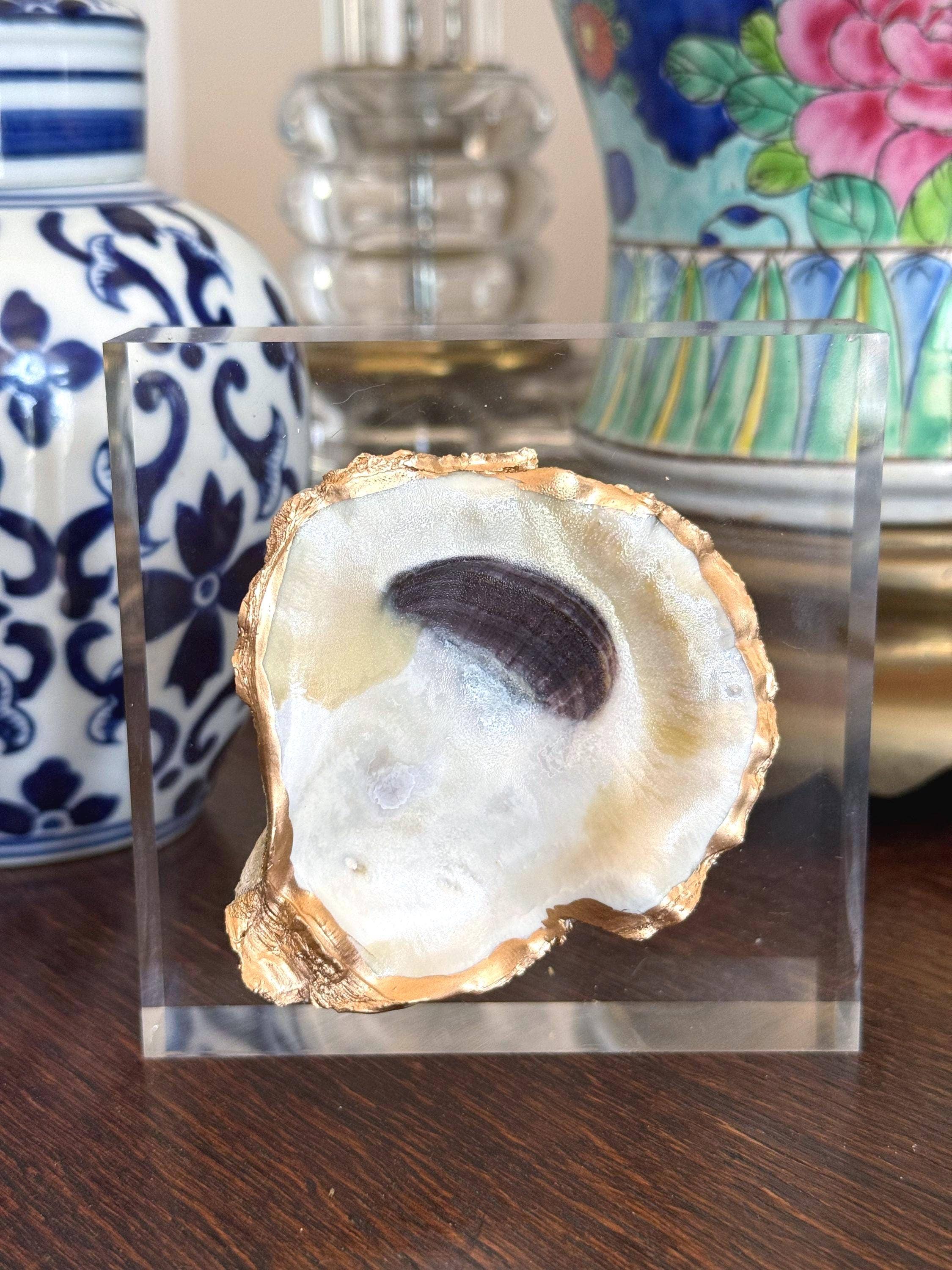 The Ornate Oyster - Wholesale Decorative Tabletop Object - Oyster Shell Acrylic Block Paperweight Art0