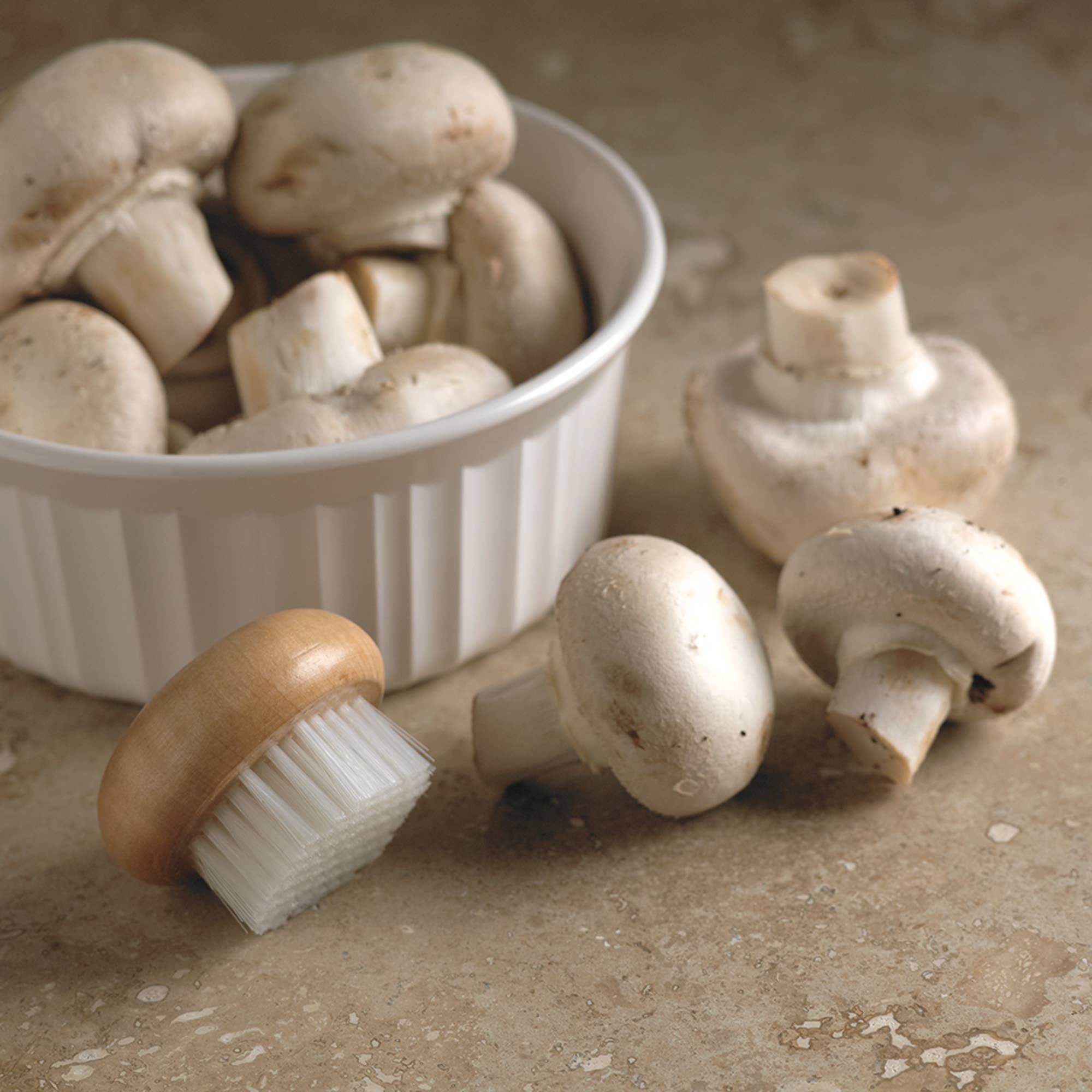 Fox Run Brands - Wholesale Cleaning Brush - Fox Run Wood Mushroom Brush, Nylon Bristles, 2" x 2" x 1.25"4