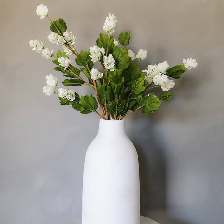 Prestige Botanicals - Vendita all'ingrosso Fiori finti - Luppolo bianco 26,5»